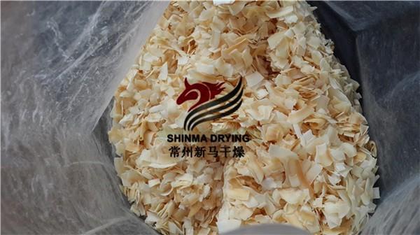 Mango Drying Equipment  400kg/H Industrial Conveyor Belt Dryer