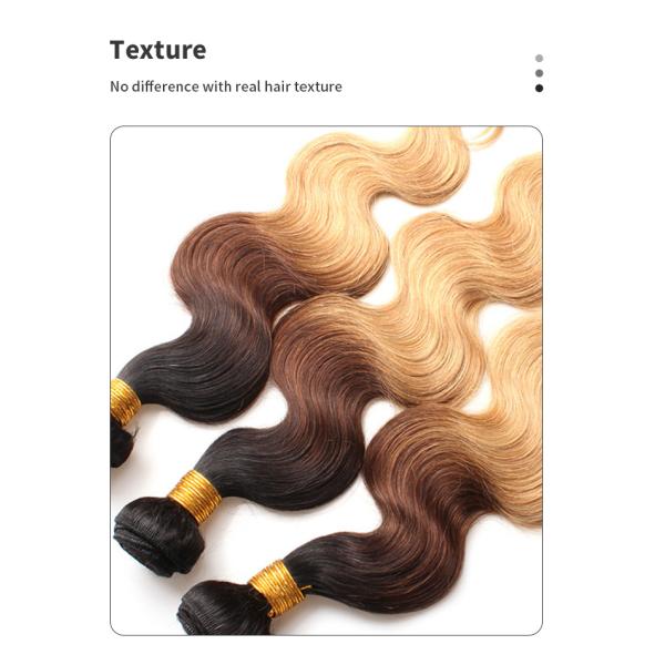 1b 4 27 BW Colored Human Hair Bundles