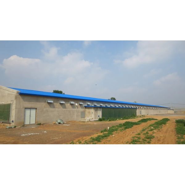 Corrosion Resistant Energy Saving Automatic Feed Poultry Ventilation System for Chicken House