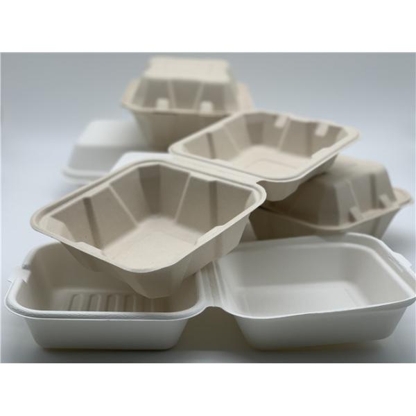 Hamburguesa del bagazo envases para llevar biodegradables de 6 pulgadas 20g