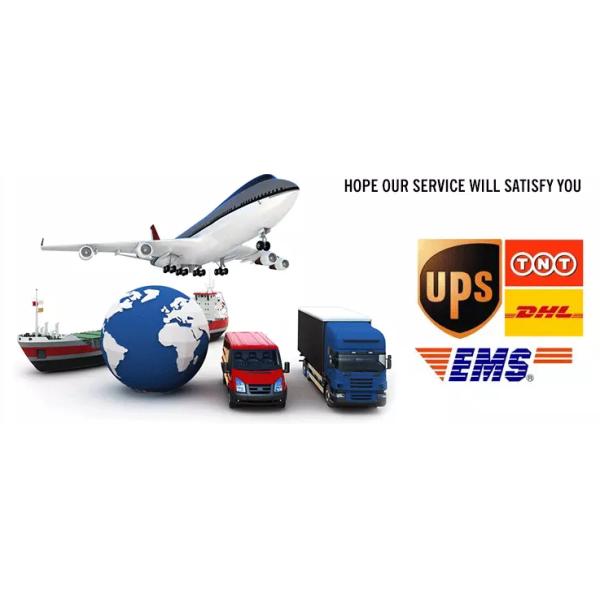 304 автомат для резки мяса нержавеющей стали 200пкс/М замороженный