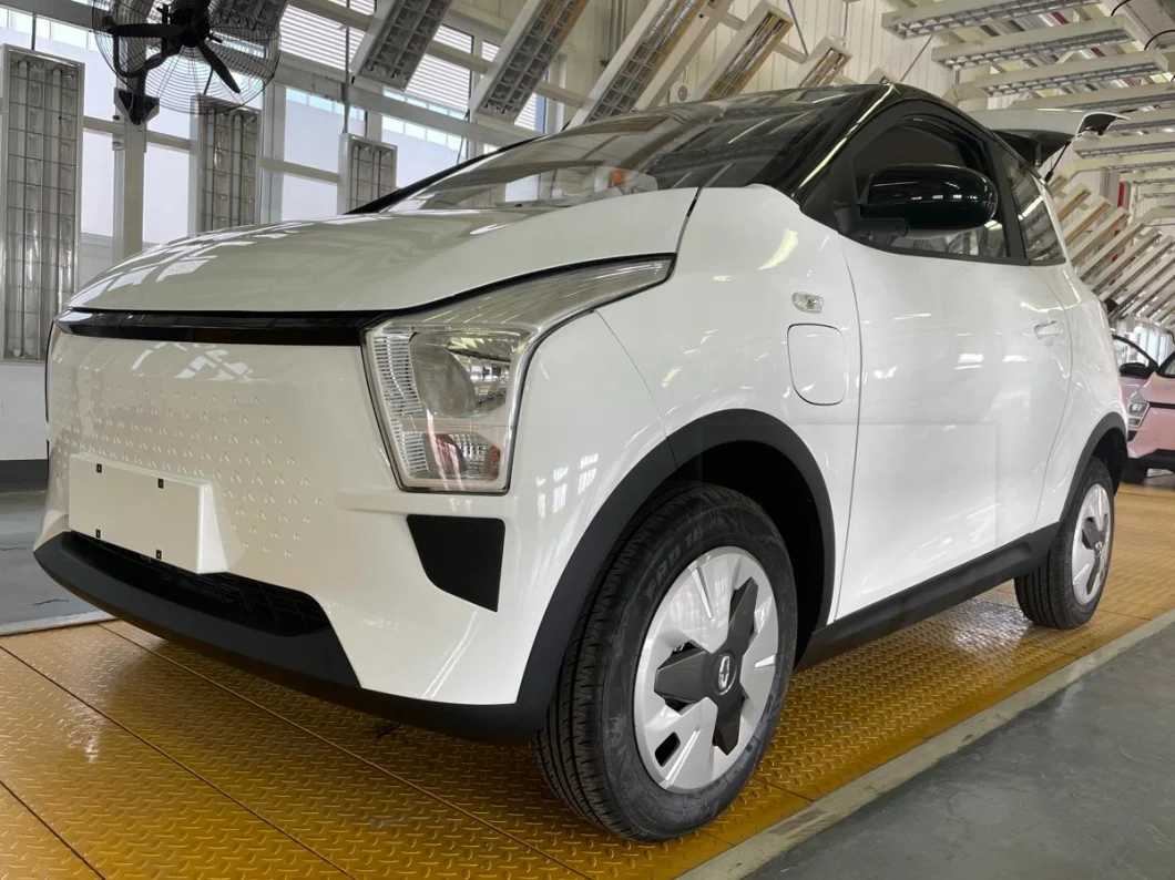 Raysince China Supplier electric mini vehicle 3 doors 4 seats Wholesale cheap price new energy car for hot sale
