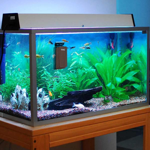 Aquarium Strong Magnetic Cleaner Algae Magnet Cleaning Tool with Scraper Floating Brush for Fish Glass Tank