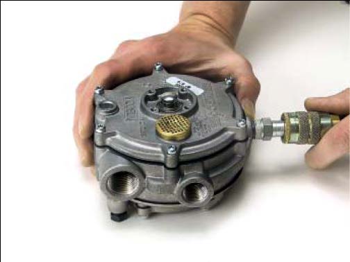 Silicone Diaphragm Model J  IMPCO Repair Kits