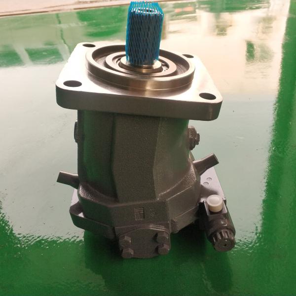 Genuine Rexroth A10VM107 Hydraulic Piston Pump Axial Piston Variable Pump for Excavator