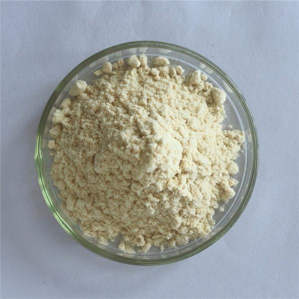 Anti Cancer Herbs Black Carrot Extract Powder
