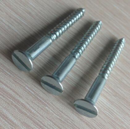 Galvanized Hex Head Pan Head Screw Slotted Countersunk M6x20 Size DIN97