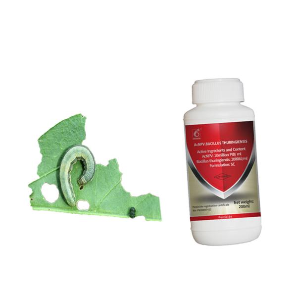 Special Insect Virus Bio Insecticide AcNPV Manage Diseases Of Cruciferous Vegetables