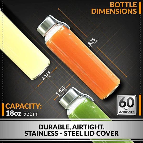 Clear Glass Water Bottles, Reusable Glass Juicing Bottles Protection Sleeve and Stainless Steel Leak Proof Lids