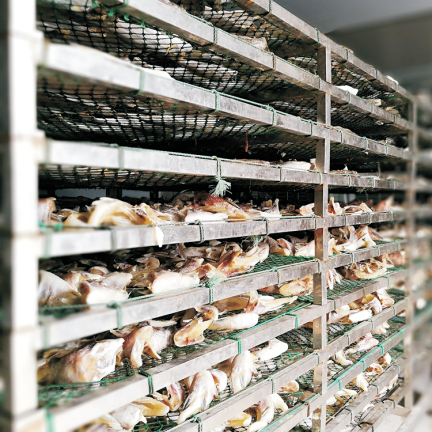 5～99%RH調整可能な湿度と22KG/時の除湿能力を備えたヒートポンプ除湿機（低温乾燥用）