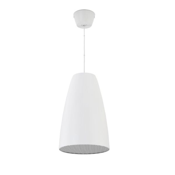 4-inch Two Way Speaker Good Sound OEM ODM 20W/10W/5W/2.5W Hanging Speaker White Color