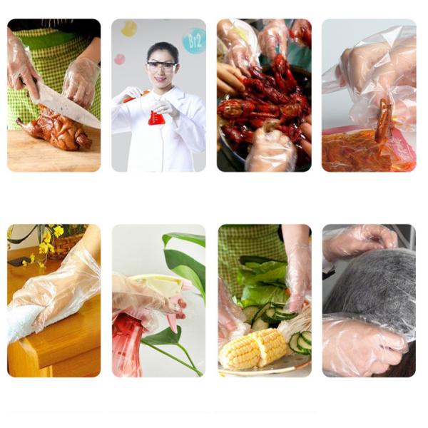 Non Sterile Polyethylene Disposable Gloves Disposable PE Gloves For Food