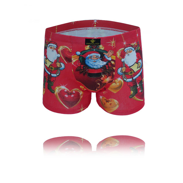 Men's underwear boxers Cotton Cueca Sexy men Boxer Shorts Men Underpants men's underwear b