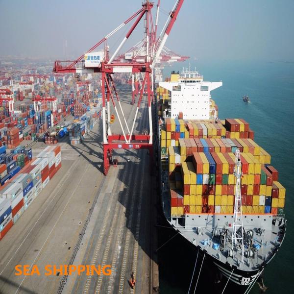 Xiamen To Atlanta USA Fast Vessel DDP Sea Shipping
