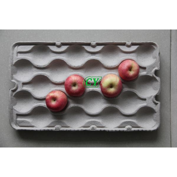 Eco Friendly Paper Molded Machine For Making Egg Carton Fruit Tray Coffee Cup Tray
