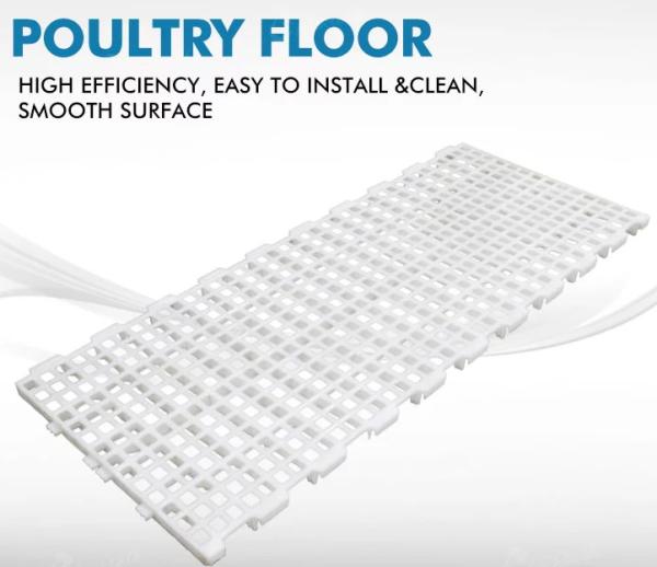 Grelha automática Mesh Poultry Slat Flooring de raspagem ripado