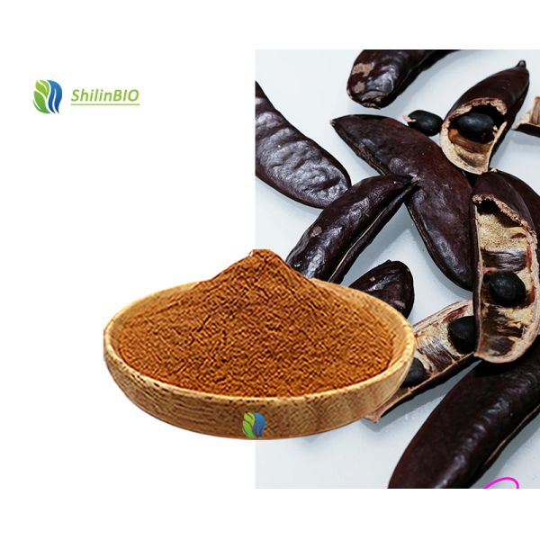 High Quality Bulk Food Grade Herbal Extract Cassia Nomame Extract Powder  30% Cassia Nomame Flavanols in Bottles Drums