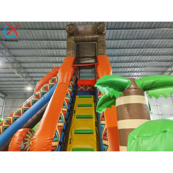 Inflatble Exotic Bouncy House With Internal Slide Combo Jumping Castle