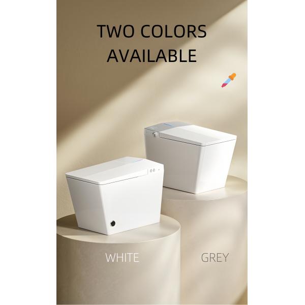 Rectangular Smart Intelligent Toilet Ceramic Night Light Multi Washes Auto Flush