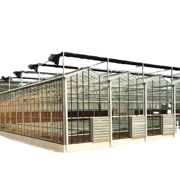 Main Structure Hot Galvanizing Aluminum Steel Prefabric Green House for Tomato Growing