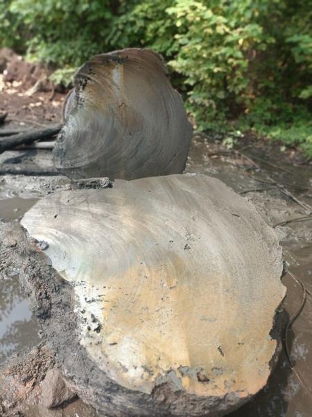 Serra de fio de diamante eletroplata utilizada para cortar aço, ferro