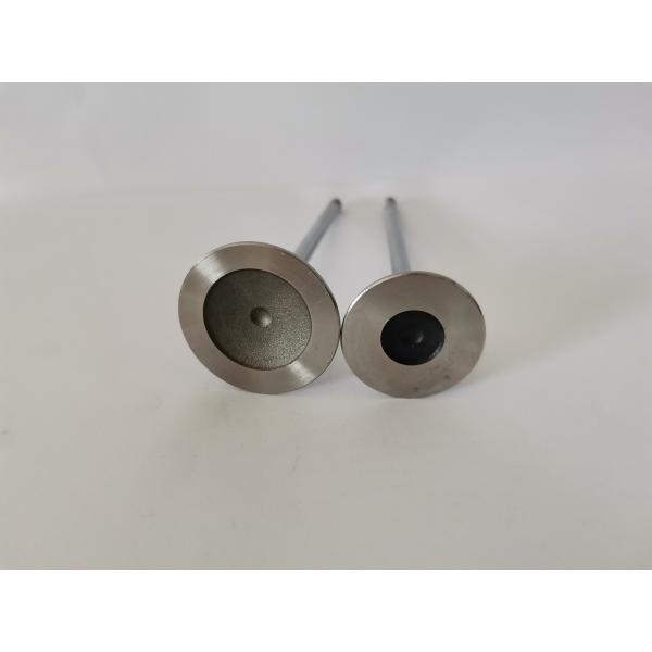 FIAT FIRE 1.4L 8V EVO car diesel Exhaust Valve 4257EC Engine Spare Parts