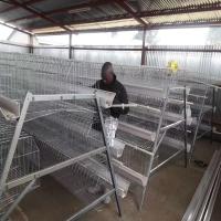 10000 Camadas Novo Design Gaiola Gaiola Gaiola em Bateria Ovos
