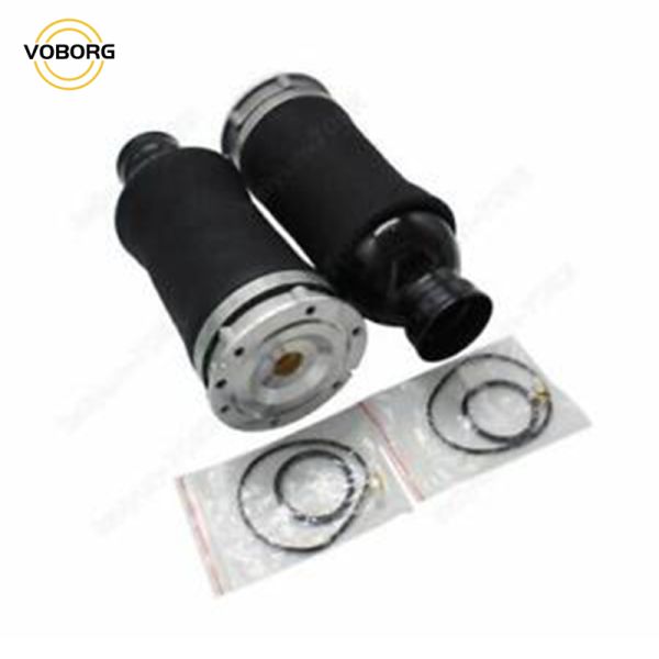 Hot Sell Rear Air Suspension Shock Absorber Reart Left and Right Shock Absorbers for Audi Auto Parts