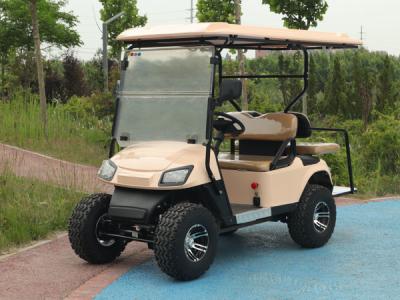 Pink Color ODM Dual Drive Chariot 40 Mph Golf Cart Custom Golf Buggy 4 Wheel 4KW