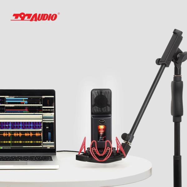 Figure-8 Polar Pattern Mic with Less Than 1000 ohms Input Impedance 797 Audio ATCR01