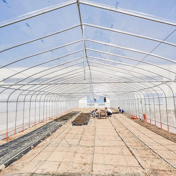 Terrasse Agricole Poly Tunnel Serre Serre chauffée pour les plantes