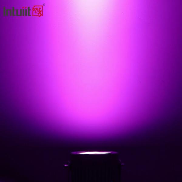 На открытом воздухе Ip65 Dmx 60w Rgbw привело света пятна ландшафта для сада