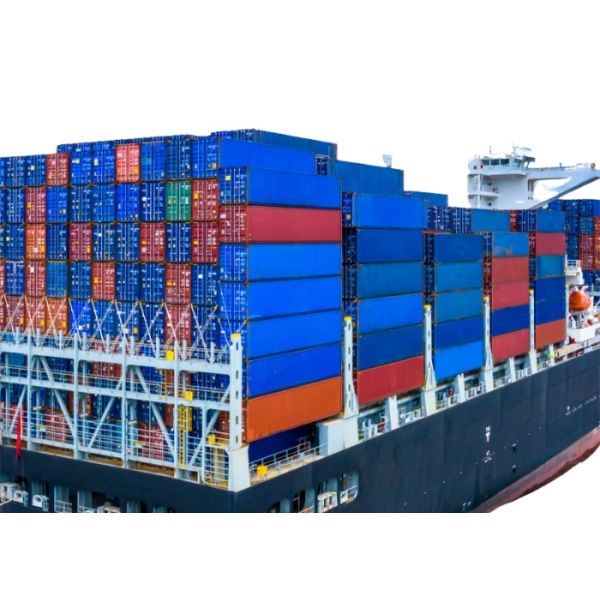Professional Import Freight Forwarder , Import Export Agents In Shenzhen China