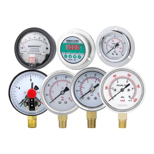 Flange Edge Industrial Capsule Micro Pressure Gauge 16bar for Gas and Oil Measurement