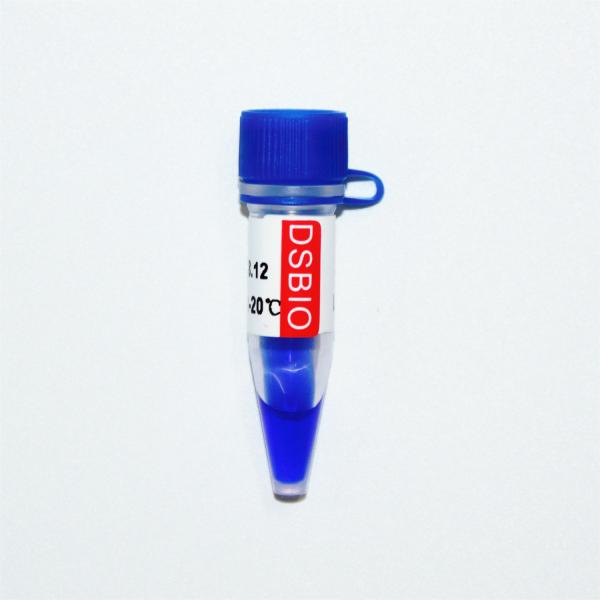 Escada M1121 do ADN do marcador 3 (50μg) /M1122 (5×50μg)