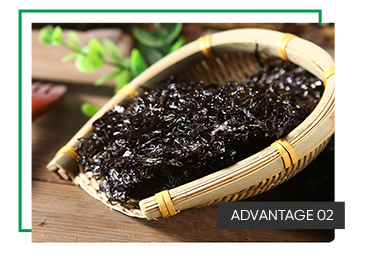 Delicious Seaweed Superfood New Harvest Dried Porphyra Seaweed Unlock the Nutritional Power of the Sea