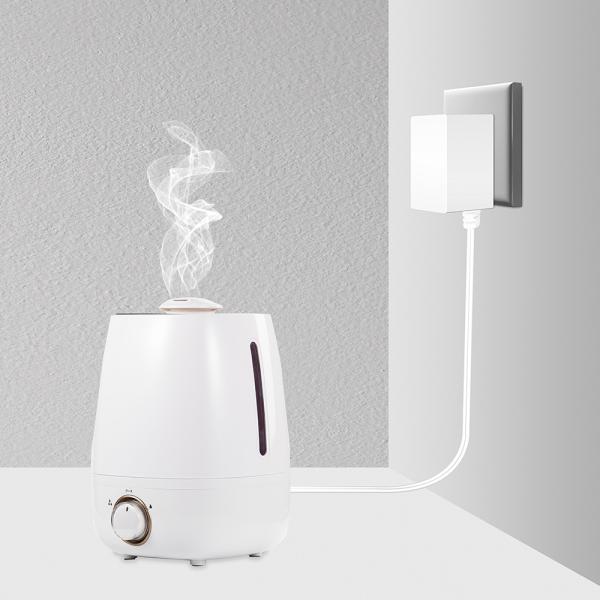 24V 0.5A BIS Certified AC Power Adapter For Hot Selling Roma Diffuser Humidifier Tablet Led Aquarium
