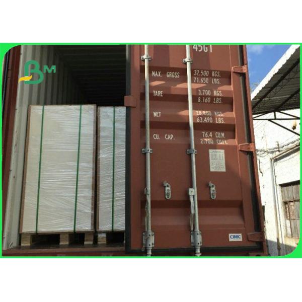250gsm 300gsm 350gsm + 15g PE Coated Cardboard For Fast Food Packages 300gsm 350gsm + 15g PE Coated Cardboard For Fast Food Packages