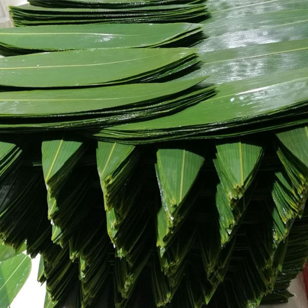 Organic Fresh Sushi Bamboo Leaves Food Plate Decoration Barbecue Serving Tool Bamboo Leaf
