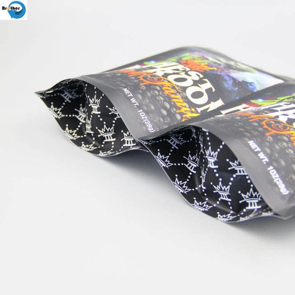 Customized Special Shaped Plastic Flexible Packaging Bag for Pet Food