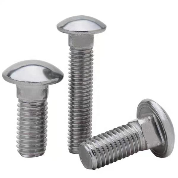 Made in China Factory Wholesale High-Quality Ss Stainless Steel DIN603 Cup Head Square Neck Bolts/Carriage Bolts