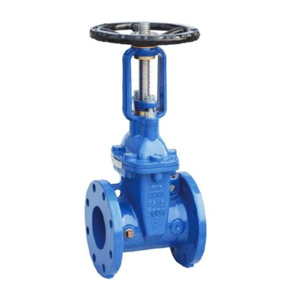 Astm A216 Wcb Class 150 Cast Steel Gate Valve Rf 1-24 Face To Face Din3202 F5
