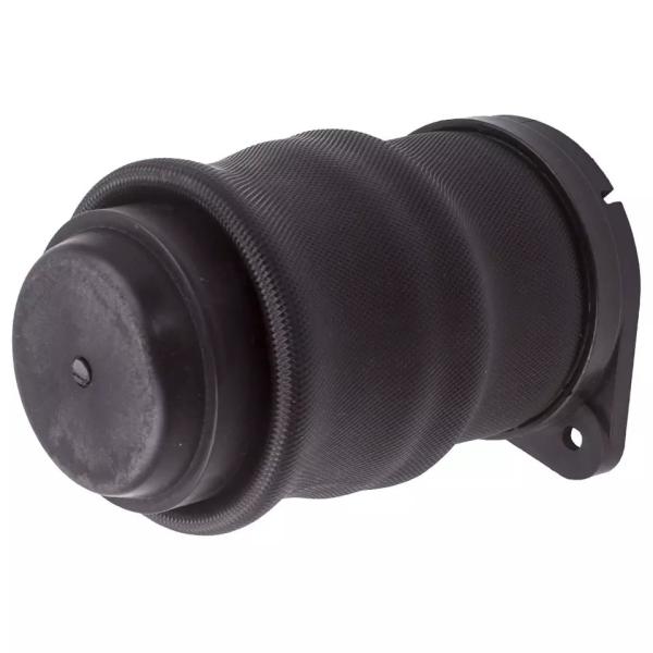 W638 Air Spring traseira
