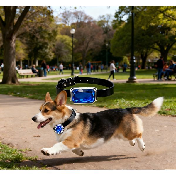 Rechargeable GPS Navigator Dog Collar Black Leather Blue Gem Shaped Adjustable Metal Buckle Waterproof 3 Year Battery Life