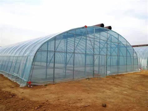 Steel Structure Multi-Span Hydroponic Greenhouse System for Sustainable Agriculture