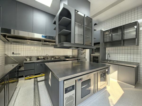 Fadior Full Stainless Steel Kitchen Cabinet - Commercial-Grade, Dark Gray & Stainless Steel Finish, Professional Layout