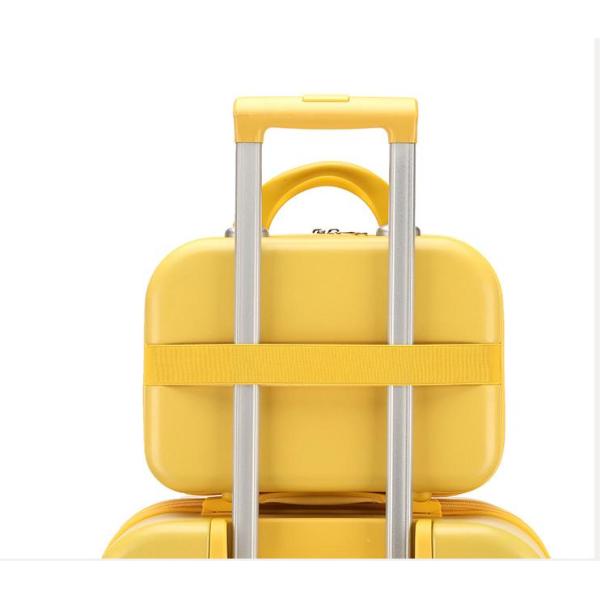 OEM Детский рулонный чемодан с 1 чемоданом красоты Макаронный цвет Молодежный рулонный багаж