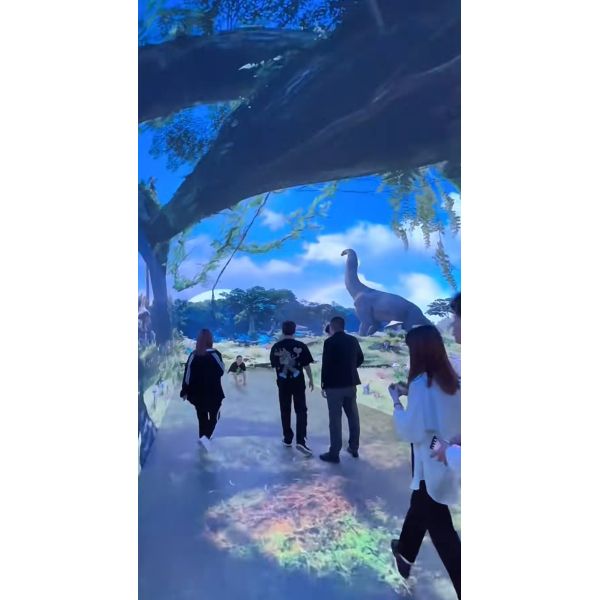 Immersive Flexible Curved LED Videos Walls Display 3D Interactive Tunnel LED Screen