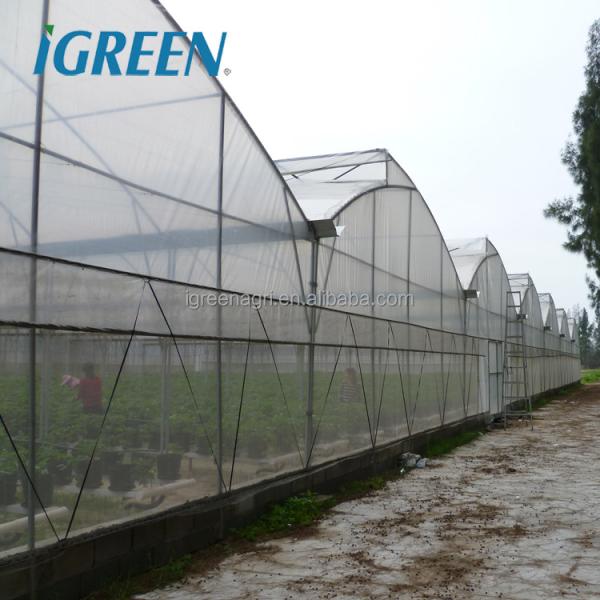Commercial Vegetable Greenhouse Kits With Rain Gutter And Large Zinc Coating 275gsm
