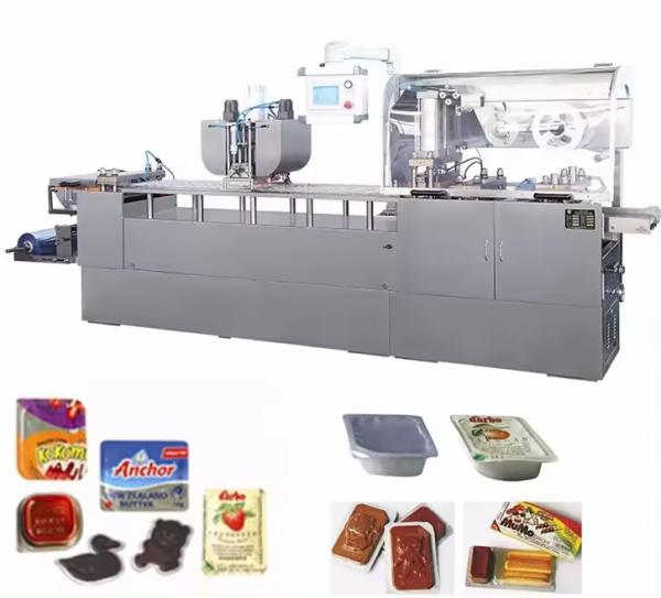 Precision Servo Motor Stainless Steel Electric Pharmaceutical Blister Packing Machine